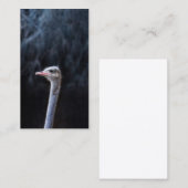 Straußenportrait Rabattkarte (Vorne/Hinten)