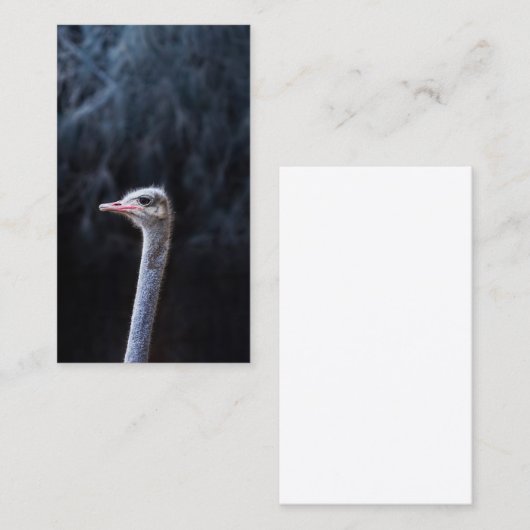 Straußenportrait Rabattkarte (Vorne/Hinten)