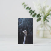 Straußenportrait Rabattkarte (Stehend Vorderseite)