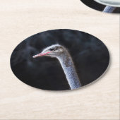 Straußenportrait Runder Pappuntersetzer (Angewinkelt)