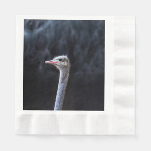Straußenportrait Serviette