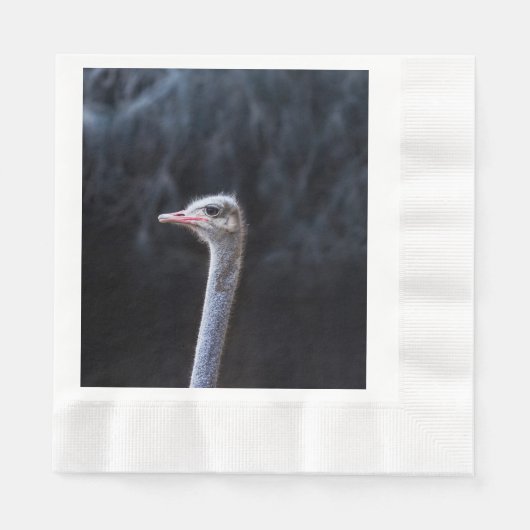 Straußenportrait Serviette (Vorderseite)