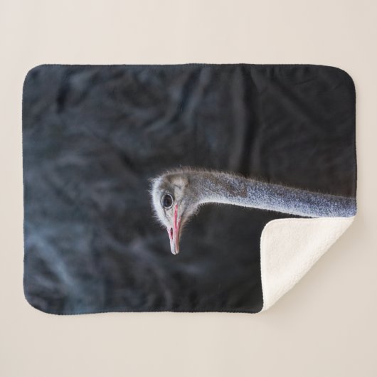Straußenportrait Sherpadecke (Vorderseite (Horizontal))