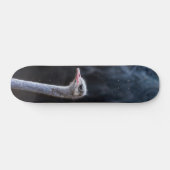 Straußenportrait Skateboard (Horizontal)