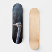 Straußenportrait Skateboard (Vorderseite)