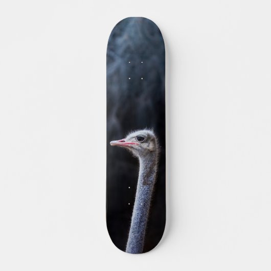 Straußenportrait Skateboard (Vorne)