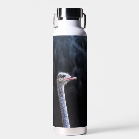 Straußenportrait Trinkflasche (Vorne)
