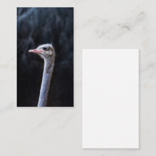 Straußenportrait Visitenkarte (Vorne/Hinten)