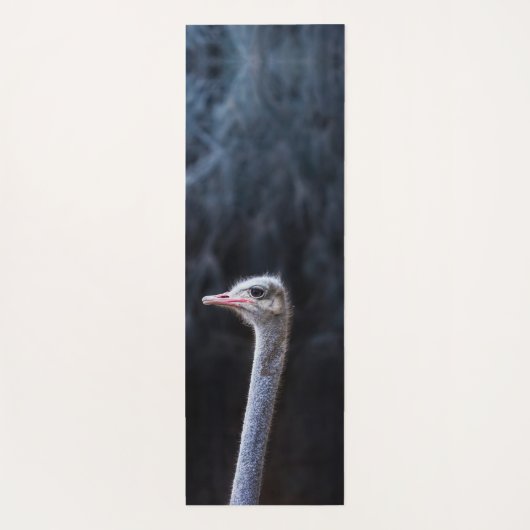 Straußenportrait Yogamatte (Rückseite)