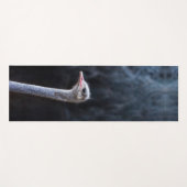 Straußenportrait Yogamatte (Vorderseite (Horizontal))