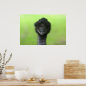 Straußenposter Poster (Küche)