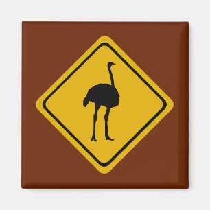 Straußenschild Magnet