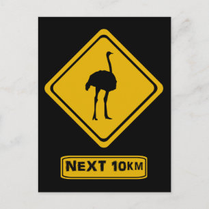 Straußenschild Postkarte