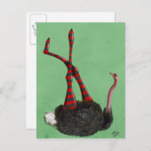 Straußenstrichene Leggings Postkarte (Vorne/Hinten)