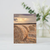 Straw Bales Postcard Postkarte (Stehend Vorderseite)