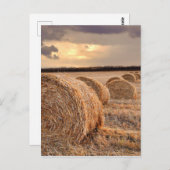 Straw Bales Postcard Postkarte (Vorne/Hinten)