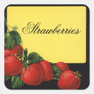 STRAWBERRIES Obstreserve, Konservierung Quadratischer Aufkleber