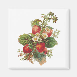 Strawberry Blooms Magnete Magnet