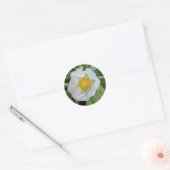 Strawberry Blossom Round Sticker (Umschlag)