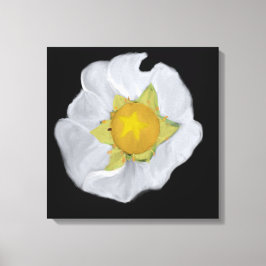 Strawberry Blossom Stretched Leinwand