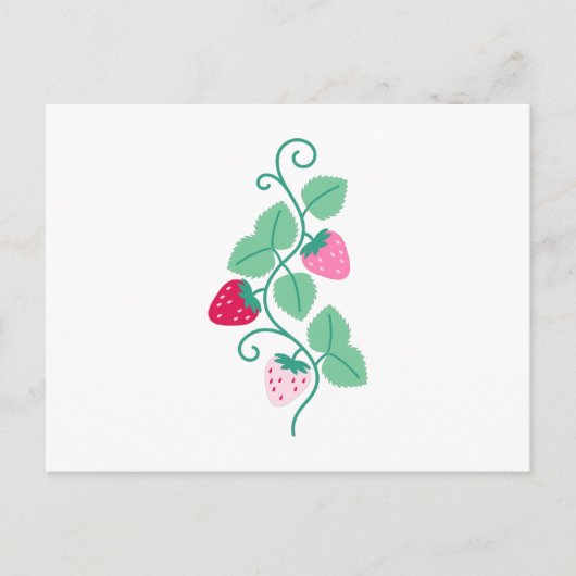 Strawberry Border Postkarte (Vorderseite)