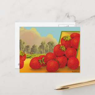 Strawberry Crate Label Vintag Art Blank Postkarte