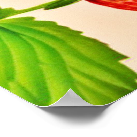 Strawberry Dadaist Artwork Poster (Ecke)