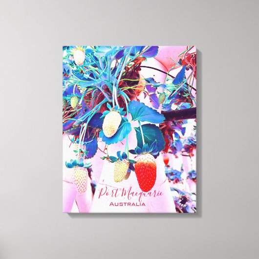 Strawberry farm Port Macquarie Australien Leinwanddruck (Vorderseite)