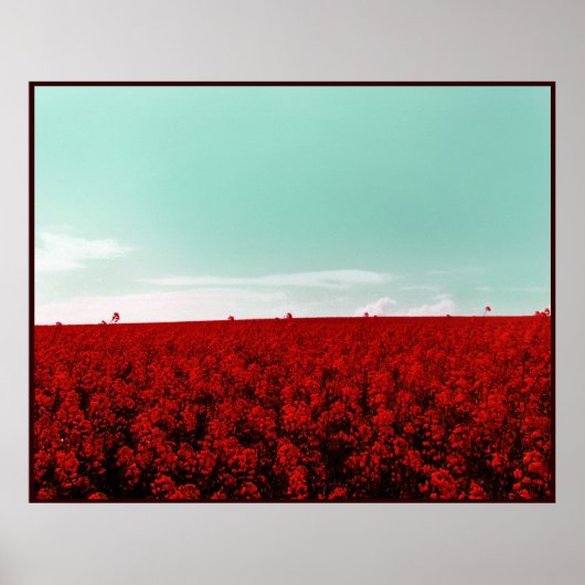 STRAWBERRY FIELDS FOREVER POSTER (Vorne)