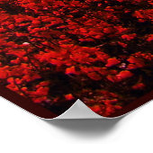 STRAWBERRY FIELDS FOREVER POSTER (Ecke)