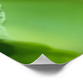 Strawberry Finch  Poster (Ecke)