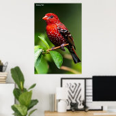 Strawberry Finch  Poster (Heimbüro)