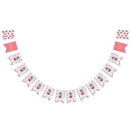 Strawberry Girl Erste Geburtstagsfeiertage Fotos Wimpelkette (Alle)