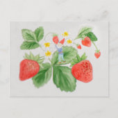 Strawberry Gnome Postcard Postkarte (Vorderseite)