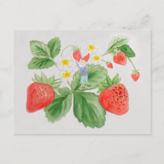 Strawberry Gnome Postcard Postkarte (Vorderseite)