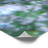 Strawberry Grouper Poster (Ecke)