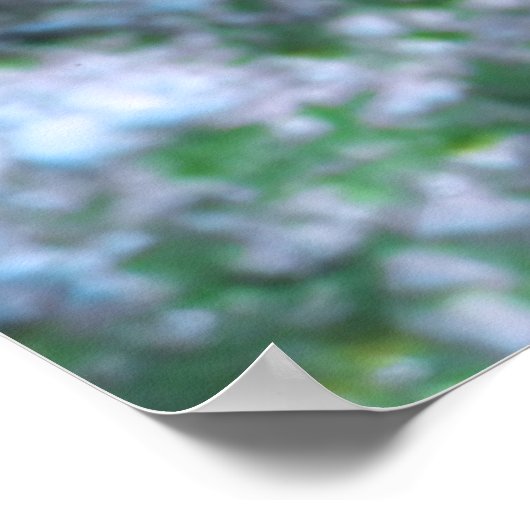 Strawberry Grouper Poster (Ecke)