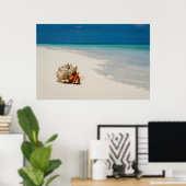 Strawberry Hermit Crab | Coenobita Perlatus Poster (Heimbüro)