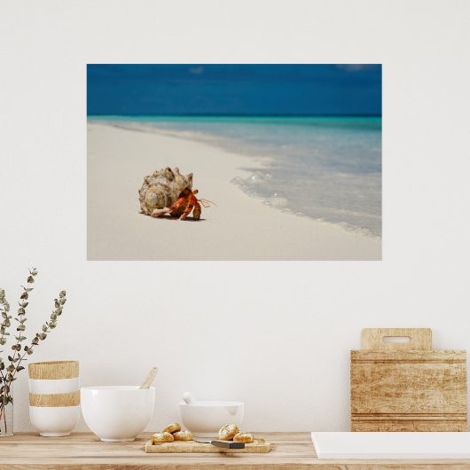 Strawberry Hermit Crab | Coenobita Perlatus Poster (Küche)