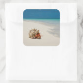 Strawberry Hermit Crab | Coenobita Perlatus Quadratischer Aufkleber (Tasche)