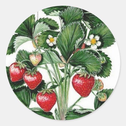 Strawberry Jam Jar Lid Label Runder Aufkleber (Vorderseite)