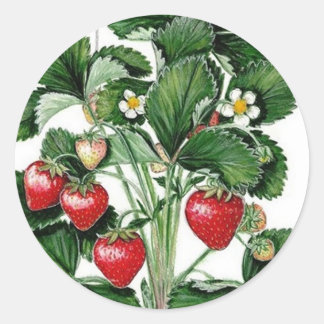 Strawberry Jam Jar Lid Label Runder Aufkleber