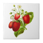 Strawberry Keramik Tile Fliese (Vorderseite)