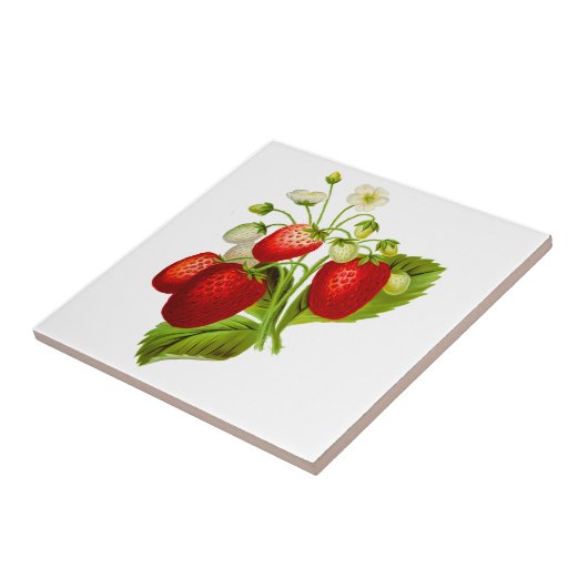 Strawberry Keramik Tile Fliese (Seite)