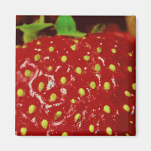 Strawberry Macrography Magnet