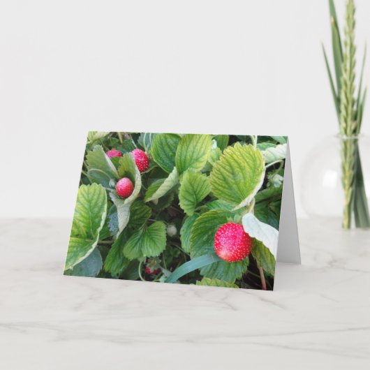 Strawberry Patch Card Karte (Vorderseite)