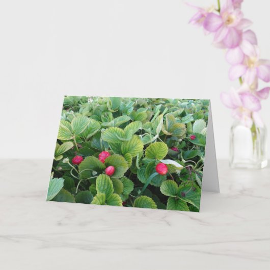 Strawberry Patch Card Karte (Orchidee)