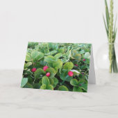 Strawberry Patch Card Karte (Vorderseite)