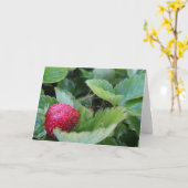 Strawberry Patch Karte (Gelbe Blume)
