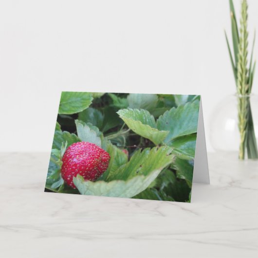 Strawberry Patch Karte (Vorderseite)